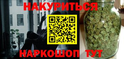 сатива Краснодар