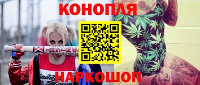 сатива Краснодар